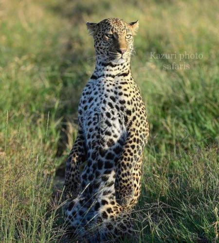 tumblr_03391863832c5b2533920b6b241bc436_f926c937_540