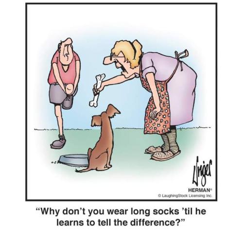 FB_IMG_1616574645309