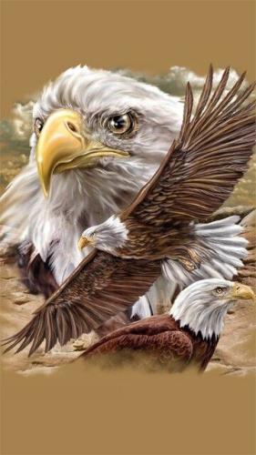 11:15:58 GMT-0600 (CST)