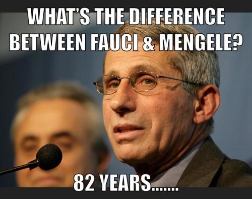 ebe4a794152702e53c5bf9d1e9c89bd1