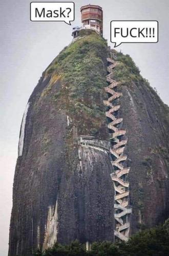 FB_IMG_1642027178814