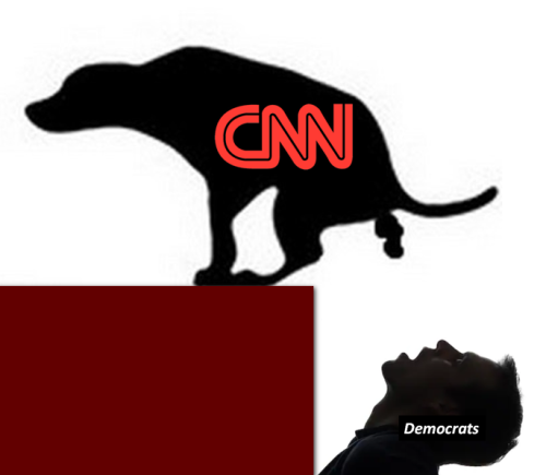 cnn dog poop