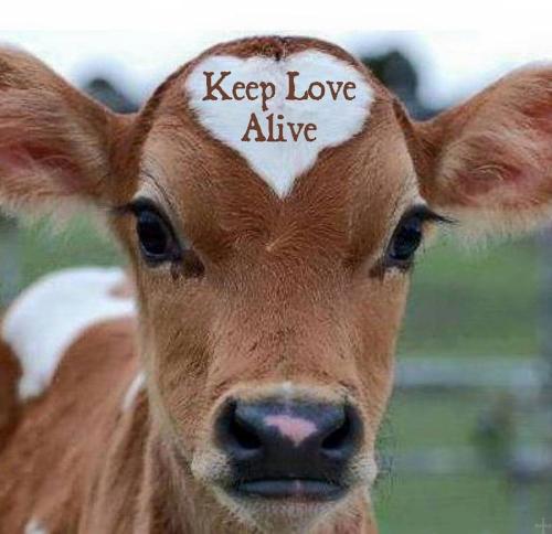 IMG_20220114_163408_758