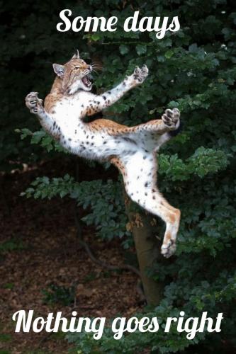 11:02:15 GMT-0600 (CST)