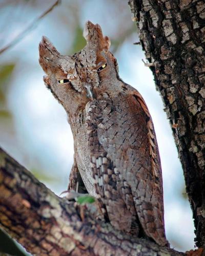 271652757_491700655666946_2452191792568789670_n