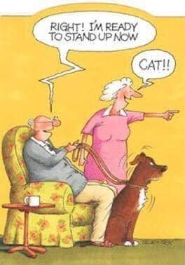 272270364_10159839486413104_1770791582210548909_n