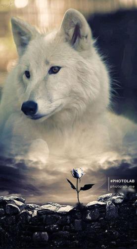 20:12:32 GMT-0600 (CST)