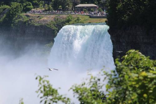 2022/01/2a41ddccf9e91d27e51af711f344743d