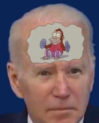 biden - monkey