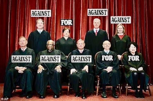 52900875-10399925-image-a-39_1642104051543