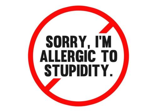 inbound6319796465354875849