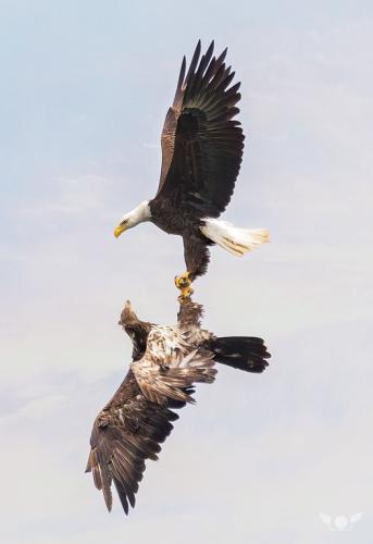 271650602_334202418706076_9161568556525503569_n