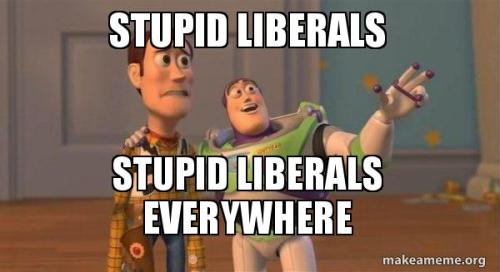 stupid-liberals-stupid