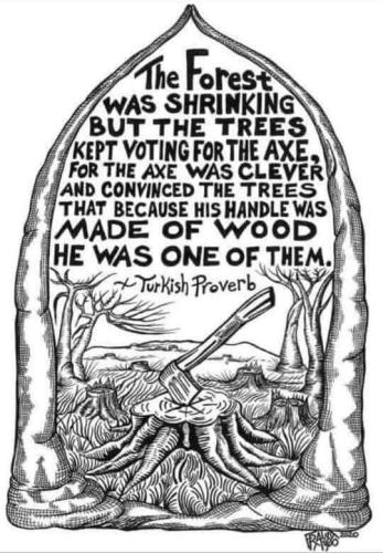 FB_IMG_1643152450505