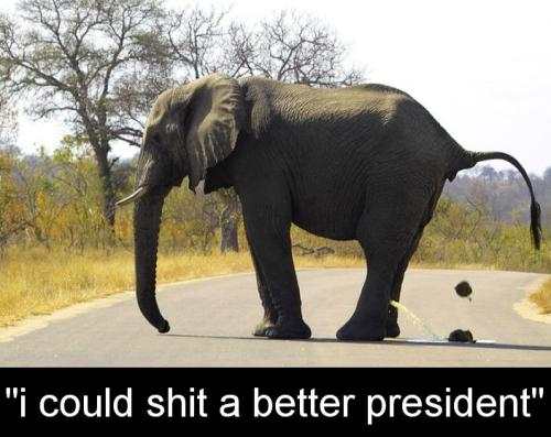 biden1002