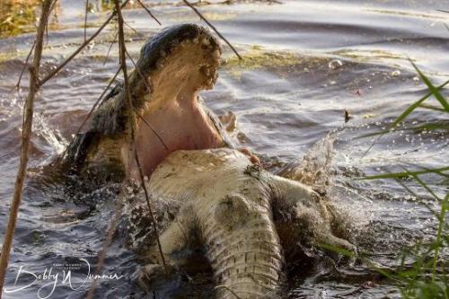 tumblr_6ee34500600271b86b36026f90d53066_30daabf5_540