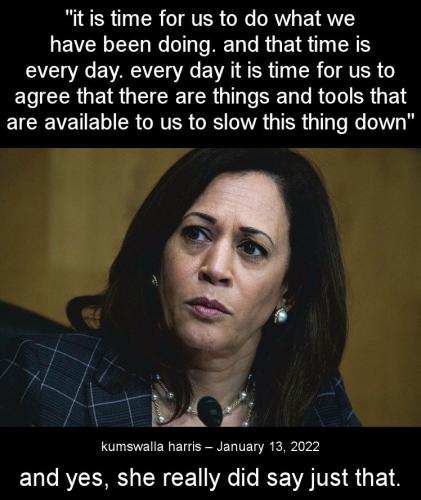 kamala harris174