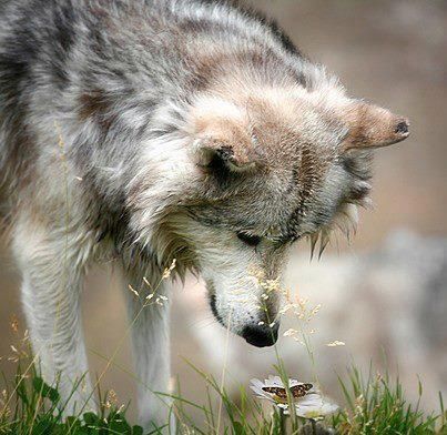 915fa3e29876852e52316d0f80571966