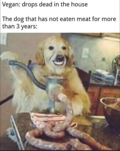 FB_IMG_1641919957018