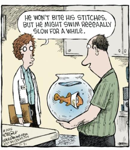 272462255_938875523431419_5265142218021750502_n