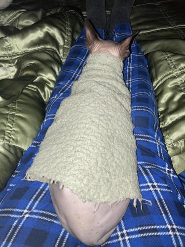 23:18:39 GMT-0500 (EST).image