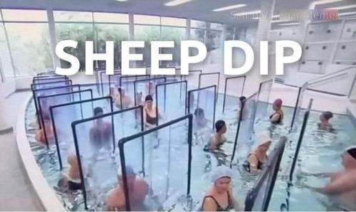 FB_IMG_1642812129484