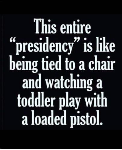 toddler c