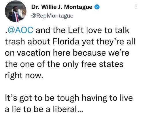 living_a_lie_liberal_fucks