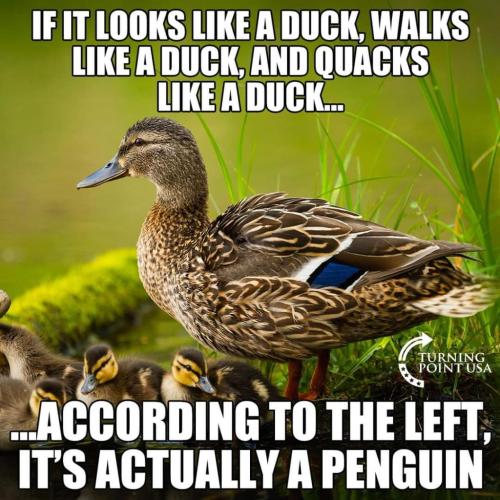FB_IMG_1643384447141