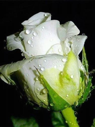 19:40:49 GMT-0600 (CST)