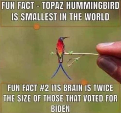 FB_IMG_1641941668967