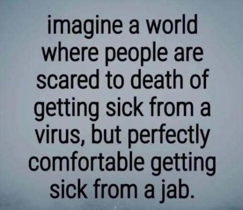 vaccine512