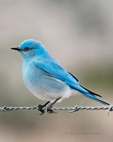 270132351_2066119253546397_6220683039467484260_n