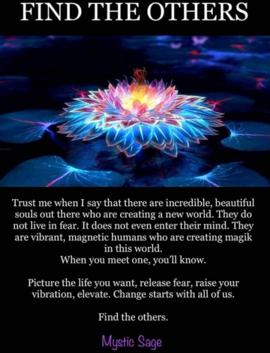 Screenshot_20211226-174349