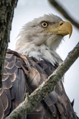 272762305_1752145874984755_2976322490745279591_n