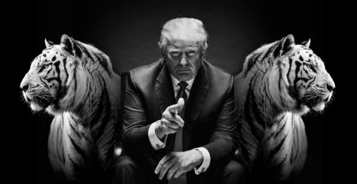 IMG_20220101_184418_769