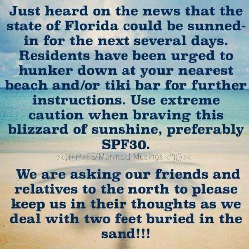 FB_IMG_1642268051205