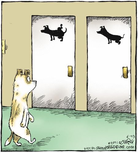 272284335_3007092259621059_3653184880166080227_n