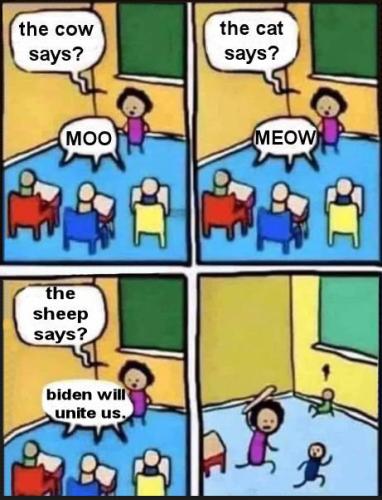 sheeple46