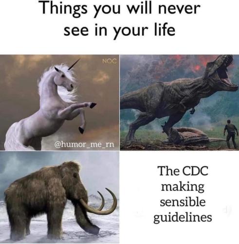 FB_IMG_1641549700489