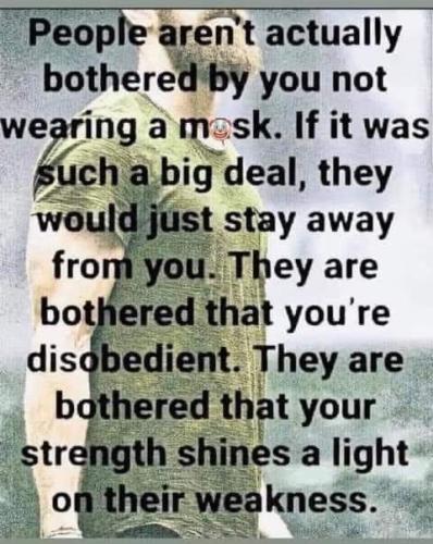 FB_IMG_1641933742184