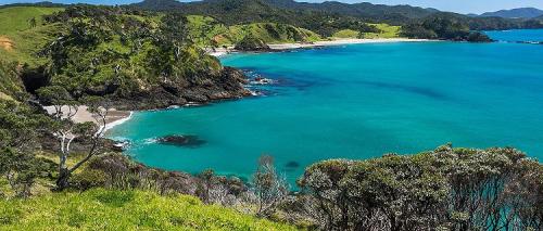 bay-of-islands-new-zealand-summer-landscape-pacific-ocean