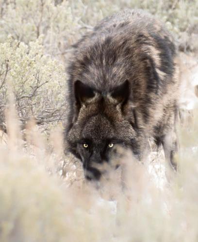 tumblr_23b1c2c10138da2edbc858dac0b5a6c4_3a9789b3_540