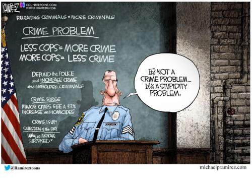 crimeproblem