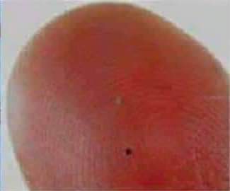 11:21:21 GMT-0600 (CST)