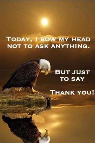 FB_IMG_1643572464941