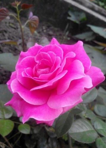 18:37:32 GMT-0600 (CST)