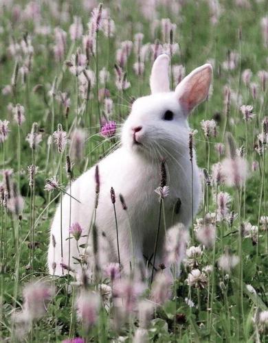 270004374_1735335119999164_7225615053852790282_n