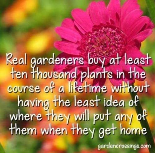 272785542_1760238287514137_4382524220357174698_n