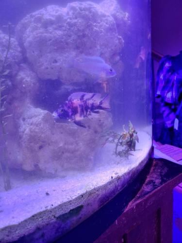 20220104_183756_HDR